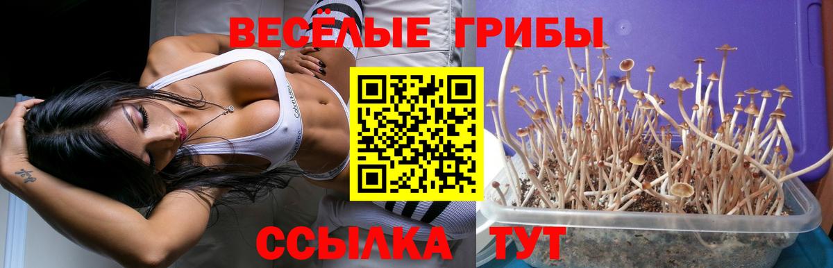 Галлюциногенные грибы GOLDEN TEACHER Лянтор